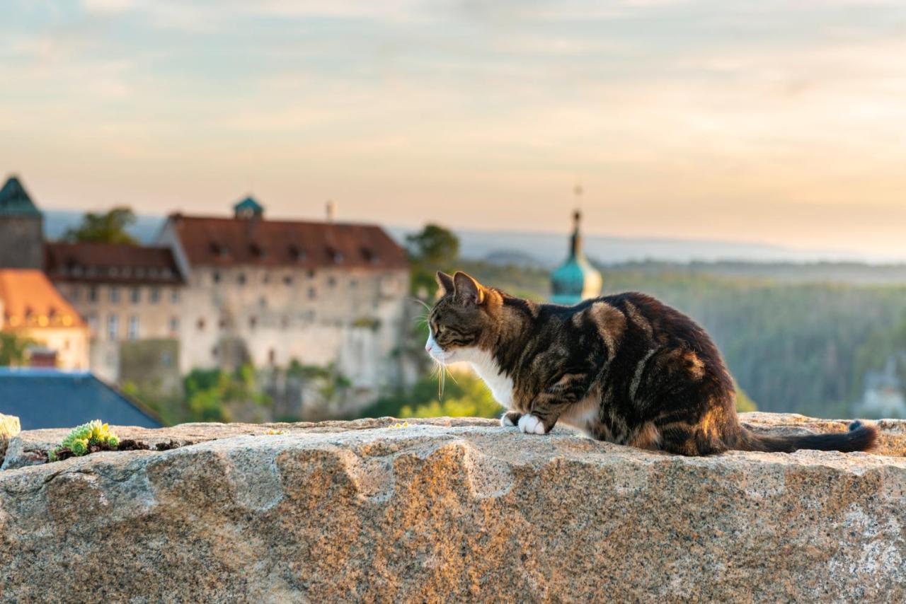 Zur Aussicht Hohnstein